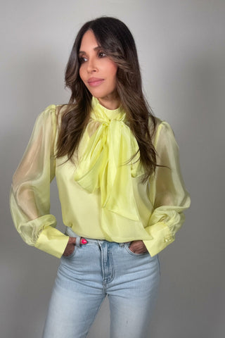 Pastel Chiffon Long Sleeve Bow-Tie Blouse - Born To Glam