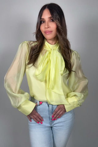 Pastel Chiffon Long Sleeve Bow-Tie Blouse - Born To Glam