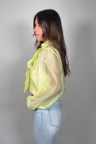 Pastel Chiffon Long Sleeve Bow-Tie Blouse - Born To Glam