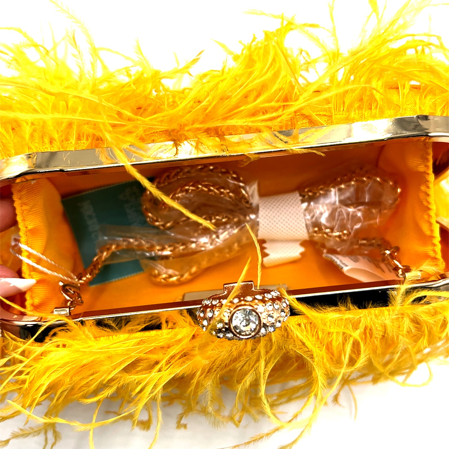 Vibrant Feather Evening Bag - Born To Glam