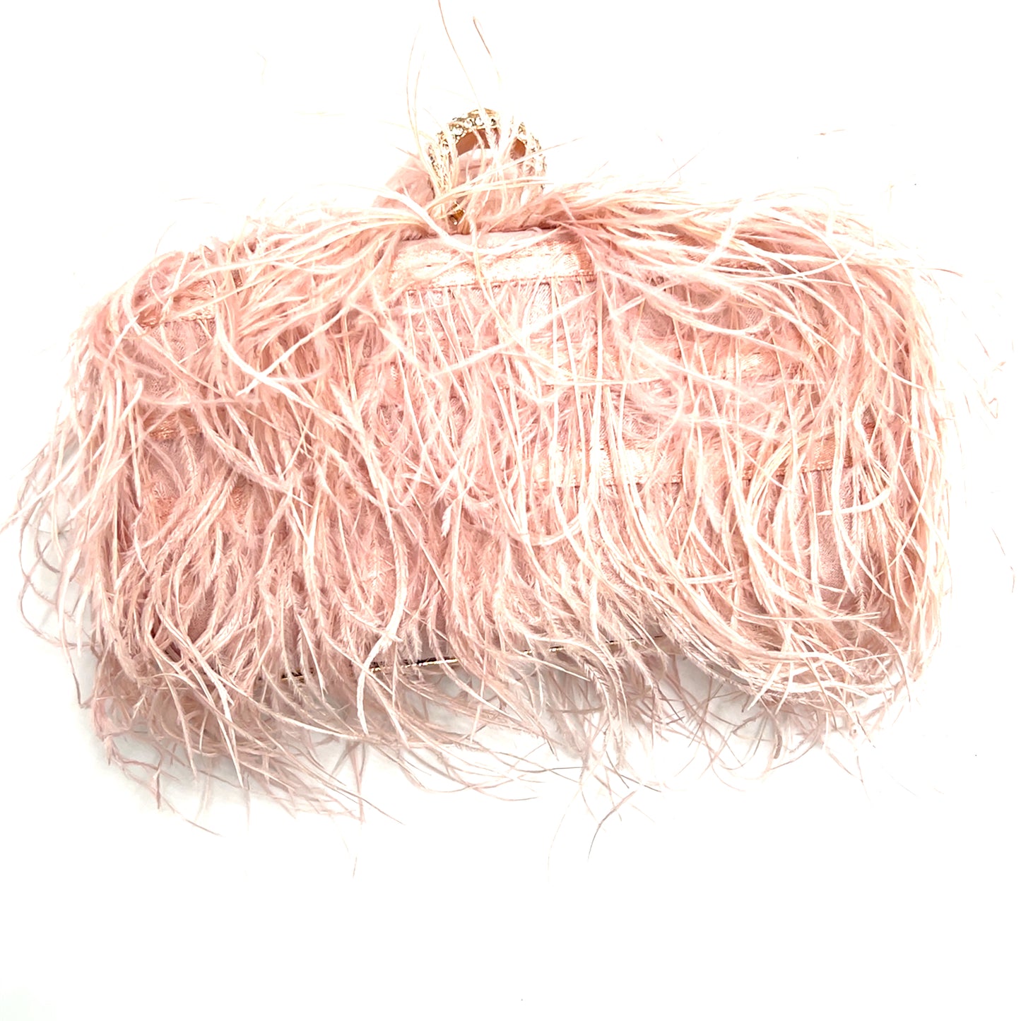 Vibrant Feather Evening Bag - Born To Glam