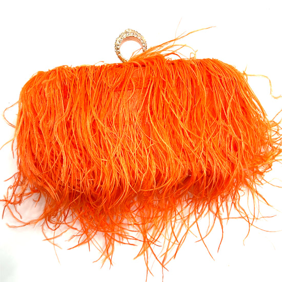 Vibrant Feather Evening Bag - Born To Glam