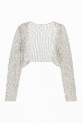 BTG_FLATLAY_CANDIDATE | silver-mesh-sparkle-embellished-jacket