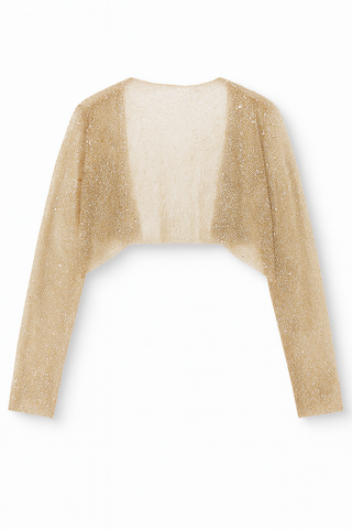 BTG_FLATLAY_CANDIDATE | gold-mesh-sparkle-embellished-jacket