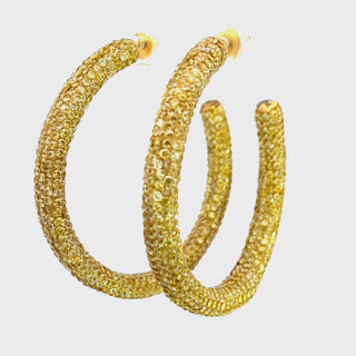 Untitled Product 94__2024-03-16-11-21-31.mp4